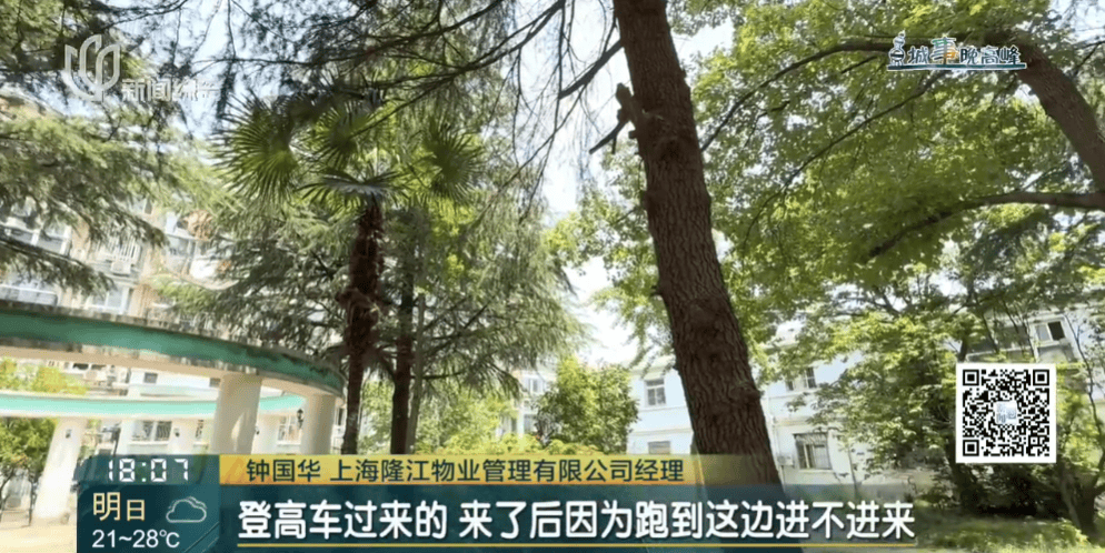 皇冠信用網在线申请
_上海一小区20年香樟说砍就砍皇冠信用網在线申请
！八旬老爷叔：拿我怎么样？