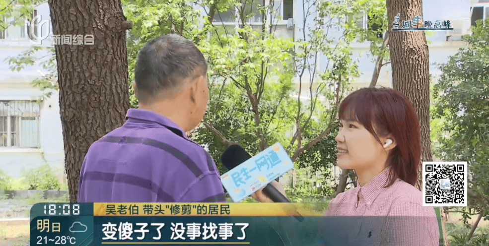 皇冠信用網在线申请
_上海一小区20年香樟说砍就砍皇冠信用網在线申请
！八旬老爷叔：拿我怎么样？